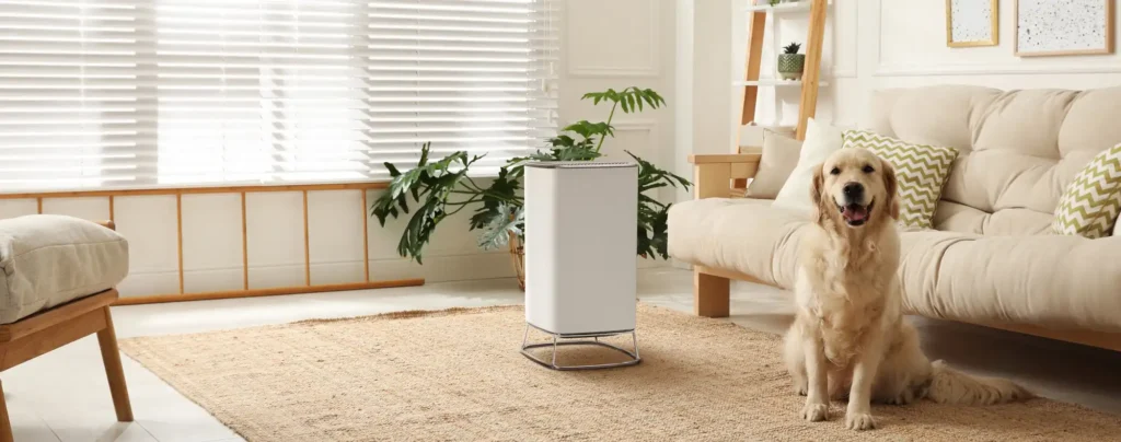 Brio_Air_Purifier_for_Allergies_Pet_Dander_Smoke_Viruses_4